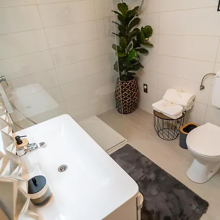 Daria Daire Vinjerac